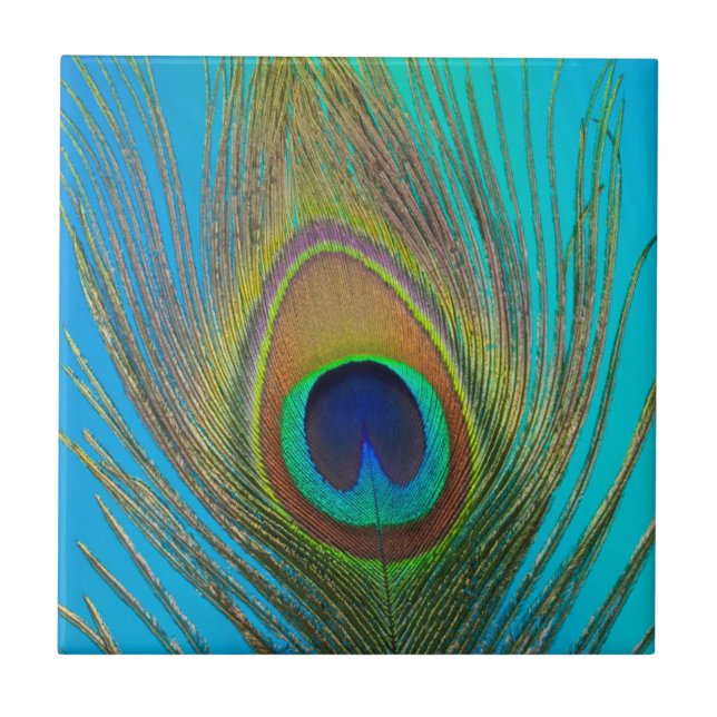 Nahe Pfauenfeder Fliese (Vorderseite)