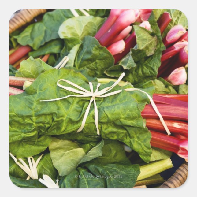 Nahe Rhabarbernsträucher im Korb Quadratischer Aufkleber (Vorderseite)