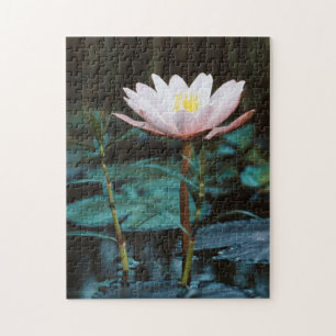 Nahe Sicht auf die Wasserlilie am Inle Lake Puzzle