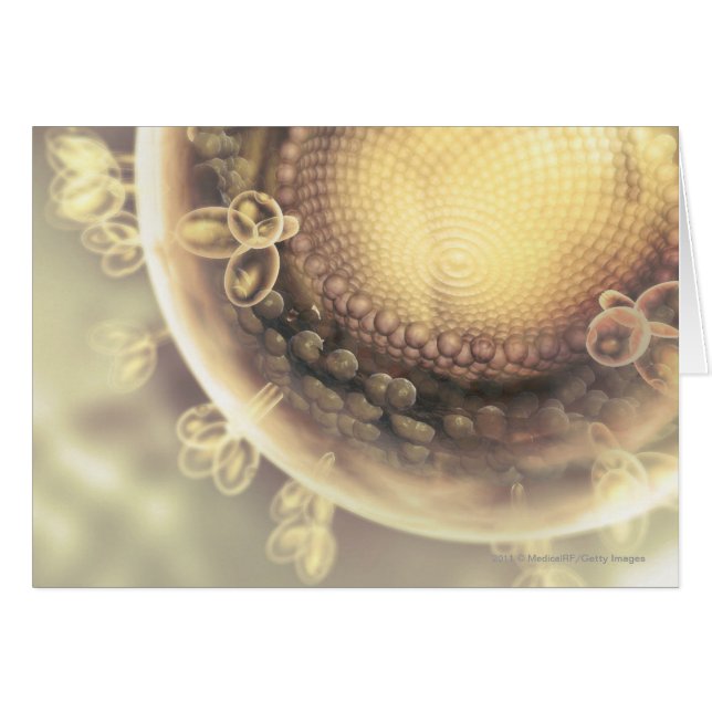 Nahe Struktur einer HIV-Zelle (Vorderseite (Horizontal))