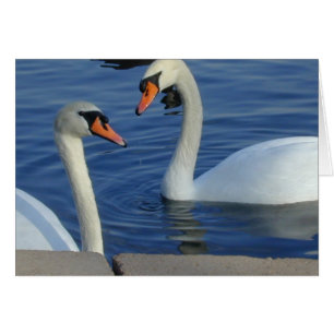 Nahe Swan-Karte