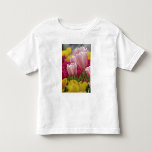 Nahe Tulpe-Blume, Kuekenhof Gardens, Kleinkind T-shirt (Vorderseite)