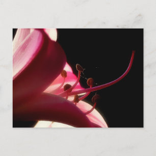 Nahe und persönliche Postkarte