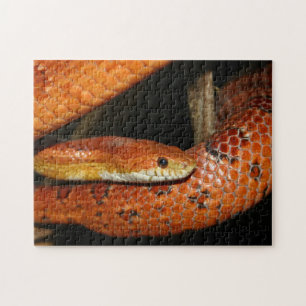 Nahen einer Maisnake Puzzle