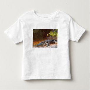 Nahen von einem amerikanischen Alligator am J.N. Kleinkind T-shirt