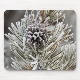 Naher Anbau von gefrorenem Kiefernzapfen, Gelbstei Mousepad