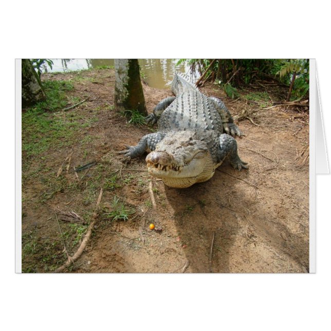 Naher Anruf (Vorderseite (Horizontal))