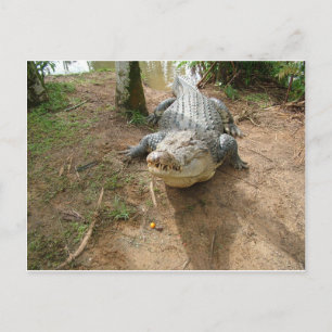 Naher Anruf Postkarte