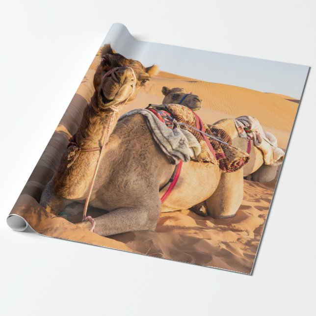 Naher Aufstieg auf Camel in der Oman-Wüste Geschenkpapier (Ungerollt)