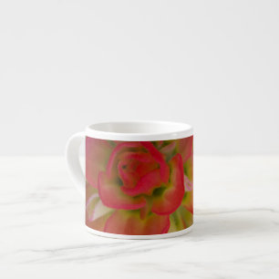 Naher Aufstieg von Indian Paint Brush bei Gay Hill Espressotasse