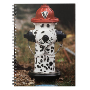 Naher Einsatz von Feuerlöschmitteln Notizblock