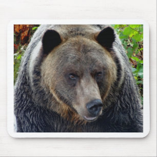 Naher Grizzly Bär Mousepad