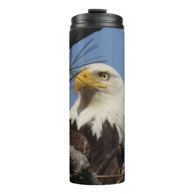 Naher Höhepunkt des Bald Eagle Thermal Tumbler Thermosbecher (Vorderseite)