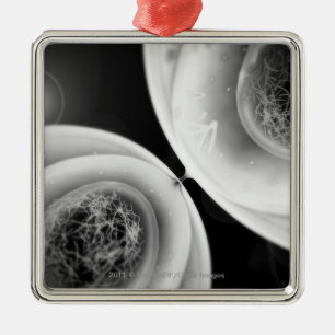Naher hoher Blick auf Zellteilung Silbernes Ornament
