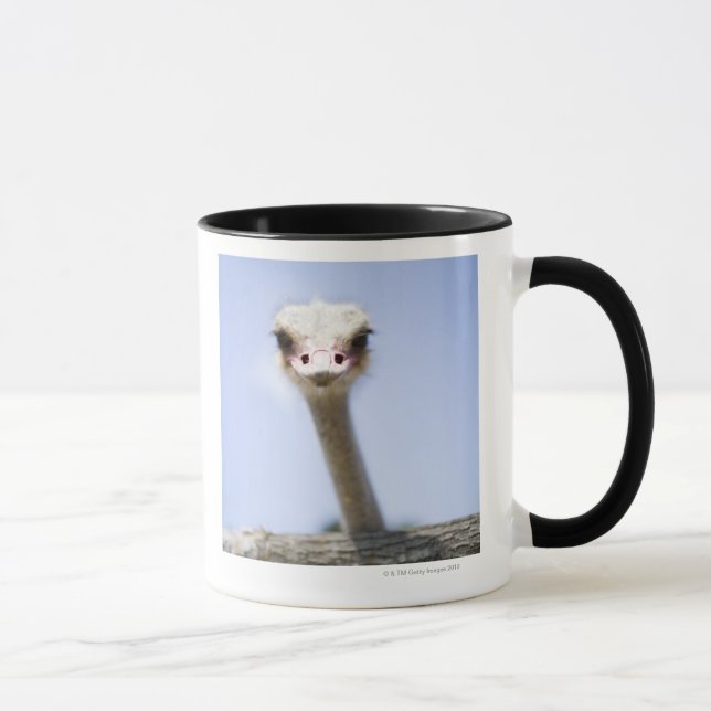 Naher hoher Ostrichkopf Tasse (Rechts)
