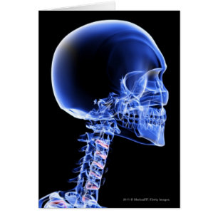 Naher hoher Röntgenstrahl der Knochen im Hals