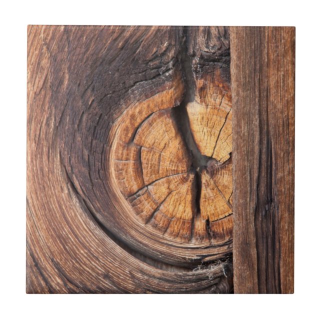 Naher Holzknochen, Kalifornien Fliese (Vorderseite)