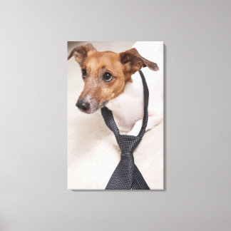Naher Hund, der eine Krawatte anzieht Leinwanddruck