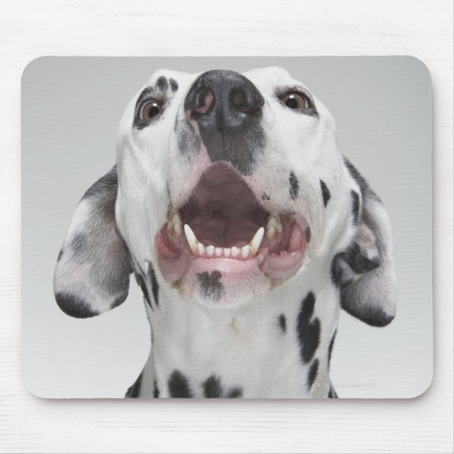 Naher Hund eines Dalmatiners Mousepad (Vorne)