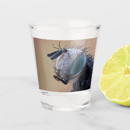 Naher Insektenkopf Schnapsglas