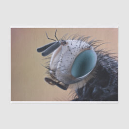 Naher Insektenkopf Seidenpapier