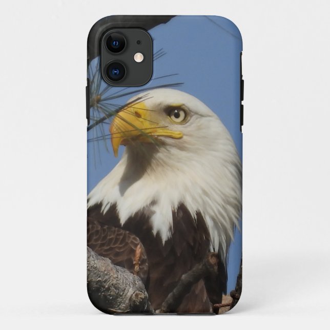 Naher Kopfschoß des Bald-Adlers Case-Mate iPhone Hülle (Rückseite)
