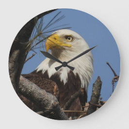 Naher Kopfschoß des Bald-Adlers Große Wanduhr