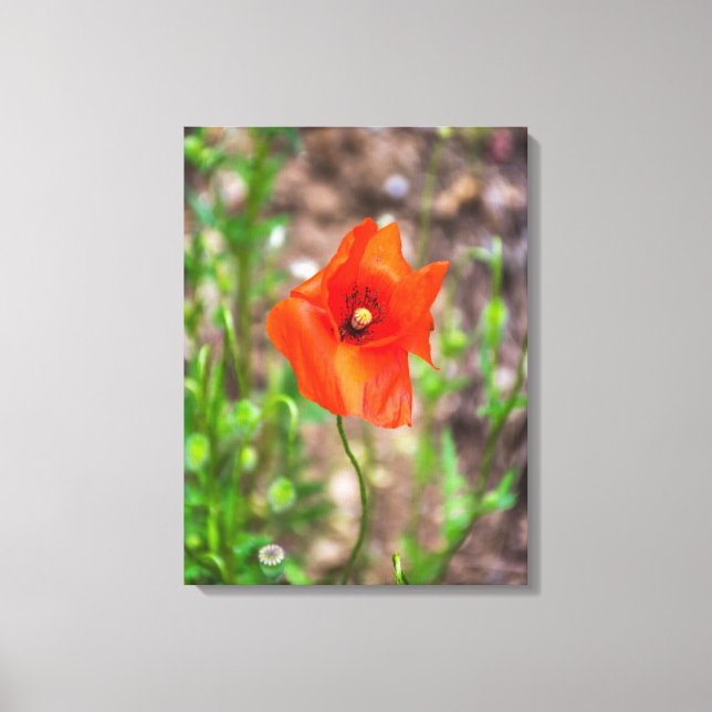 Naher Leinenprint mit rotem Mohn Leinwanddruck (Vorderseite)