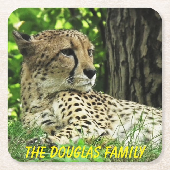 Naher Leopard Rechteckiger Pappuntersetzer (Vorderseite)