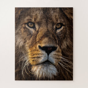 Naher Löwe, erwachsener Mann Puzzle