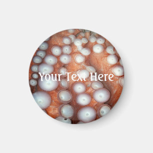 Naher Oktopus fallen Magnet