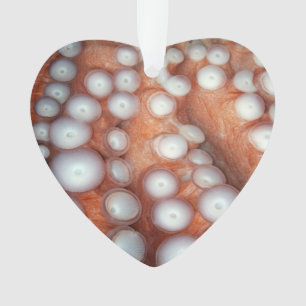 Naher Oktopus fallen Ornament