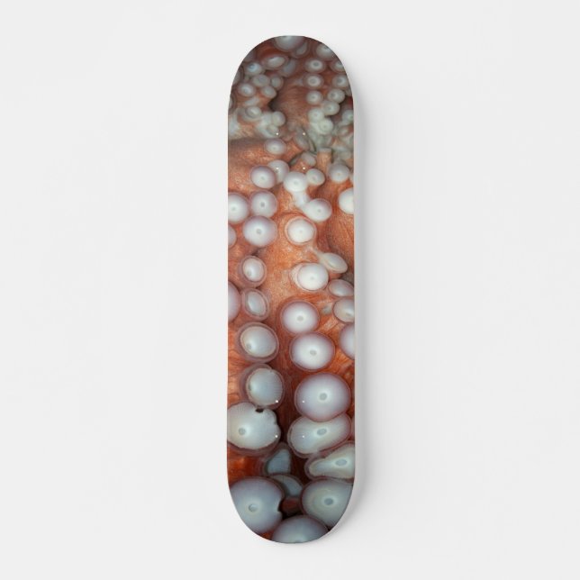 Naher Oktopus fallen Skateboard (Vorne)