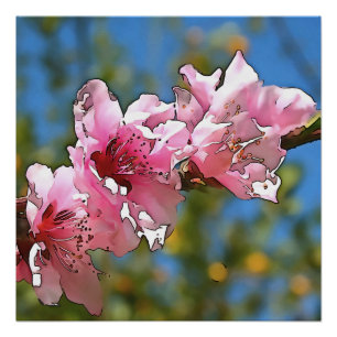 Naher Pfirsichbaum Blossom Schwarze Kontur Kunst Poster