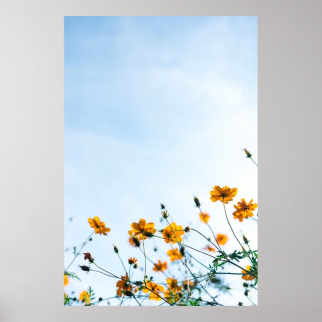 Naher Schuss gelber Blumen Poster (Vorne)