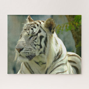 Naher Tiger Puzzle