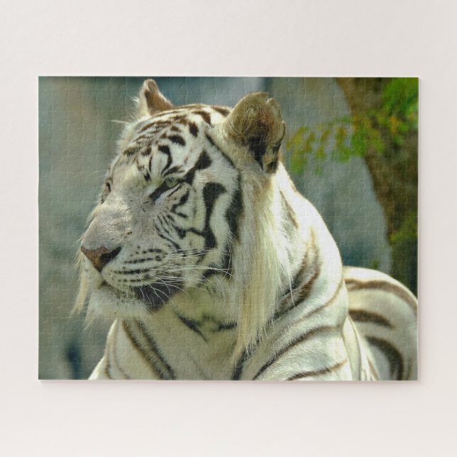 Naher Tiger Puzzle (Horizontal)