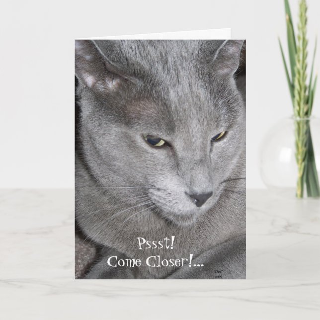 Nähere Karte (Vorderseite)