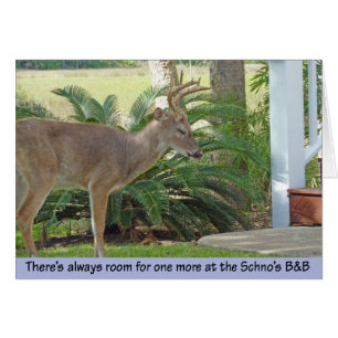 Nähernde Treppe der Rotwild