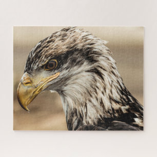 Nahes AdlerFoto Puzzle