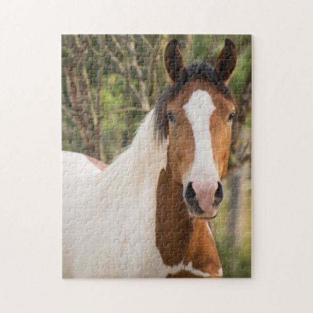 Nahes Anhäufen eines Paint Horse Puzzle (Vertikal)