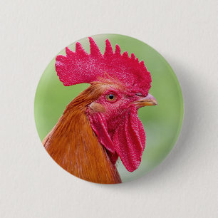 Nahes Auflisten Button