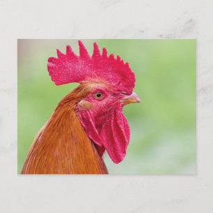 Nahes Auflisten Postkarte