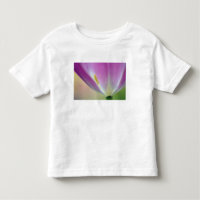 Nahes Aufsetzen der Unterseite der Tulpe-Blume, Ku
