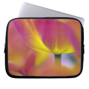 Nahes Aufsetzen der Unterseite der Tulpe-Blume, Ku Laptopschutzhülle
