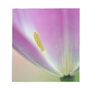 Nahes Aufsetzen der Unterseite der Tulpe-Blume, Ku Notizblock