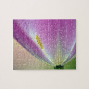 Nahes Aufsetzen der Unterseite der Tulpe-Blume, Ku Puzzle