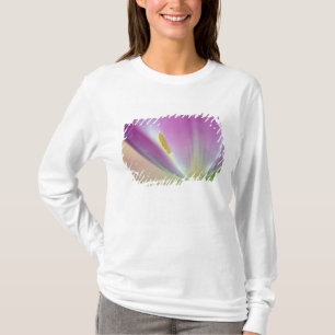 Nahes Aufsetzen der Unterseite der Tulpe-Blume, Ku T-Shirt