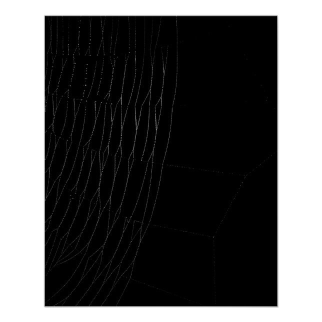 Nahes Aufsetzen von White Web mit Black Poster (Vorderseite)