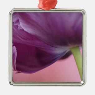 Nahes Aufziehen der Unterseite der Tulpenregion, K Silbernes Ornament